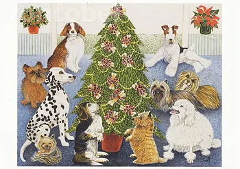 Anticipation, Postcard