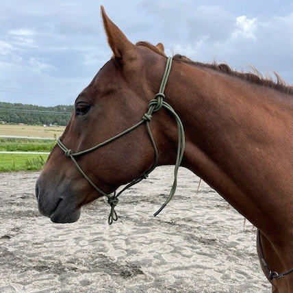 All That Standard Rope Halter - Olive - 5