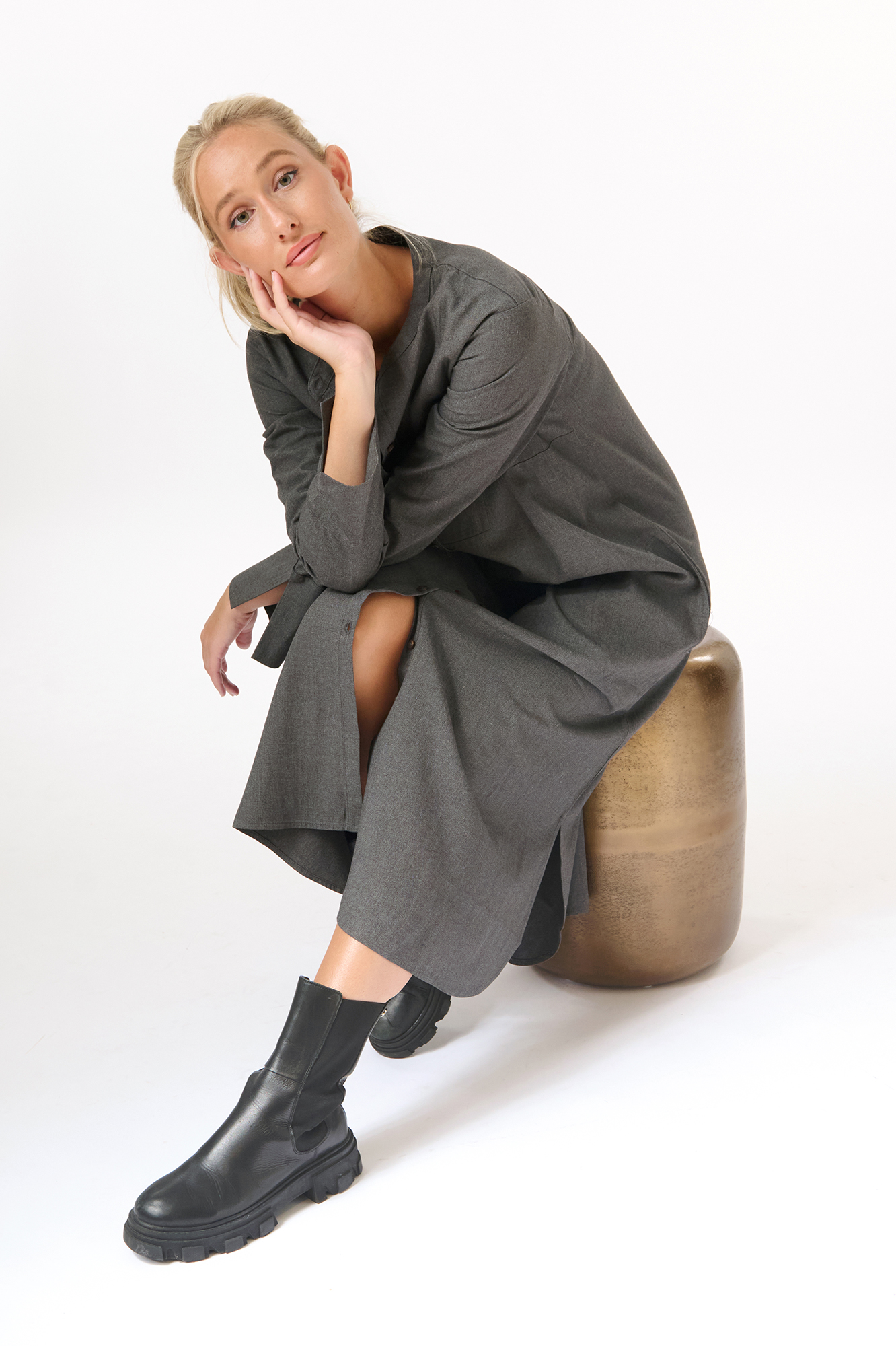 Gabriella dress  platinum
