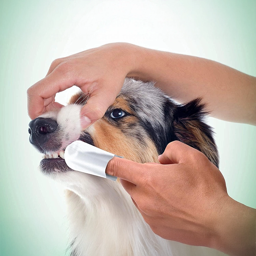 Vet's best clean teeth finger pads finger wipes for dog and cat