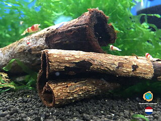 Ceramic Nature - Catappa bark tubes