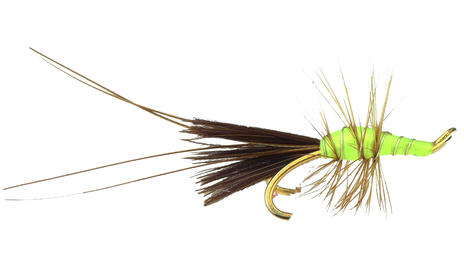 Salmon Double - Francis Lime Fluo (Guldkrok)