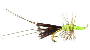 Salmon Double - Francis Lime Fluo (Guldkrok)