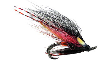 Salmon Double - Foxxy Röd 