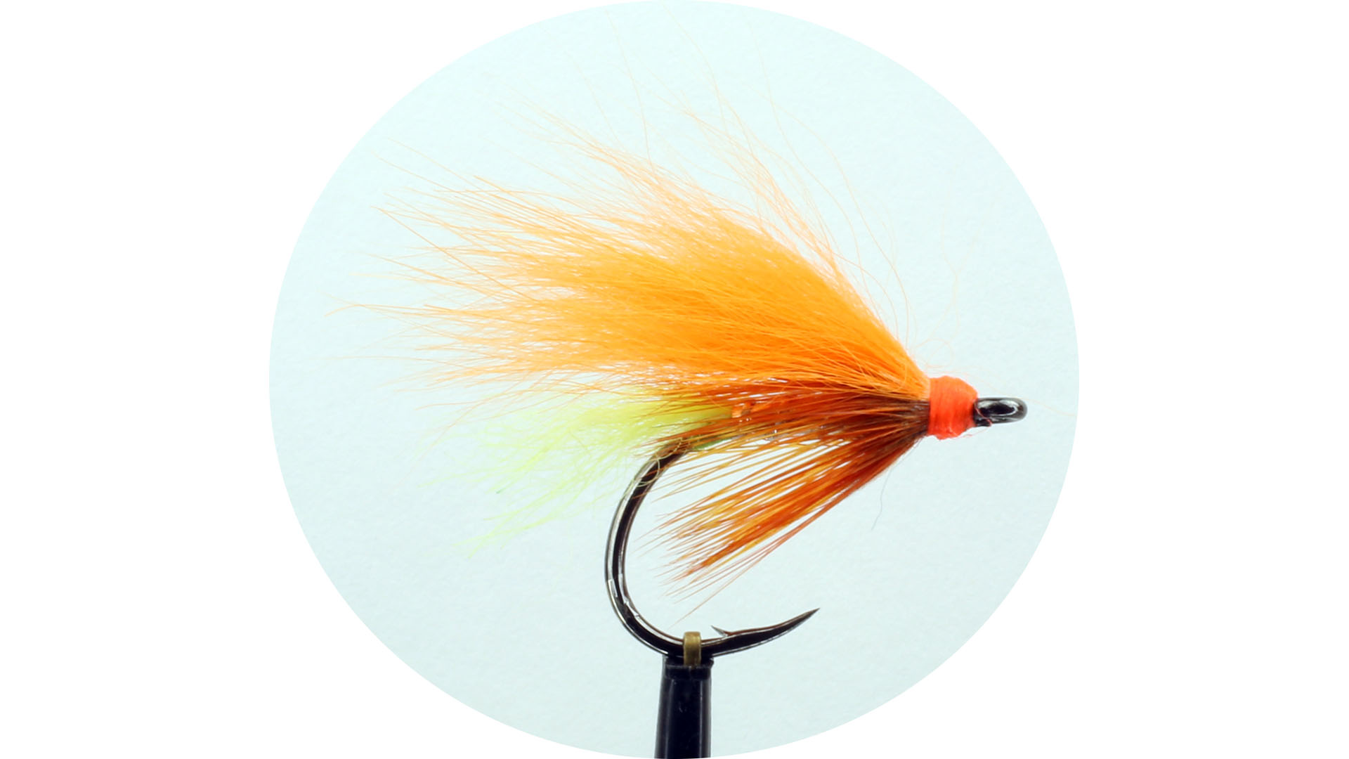 Laxett Orange Lime