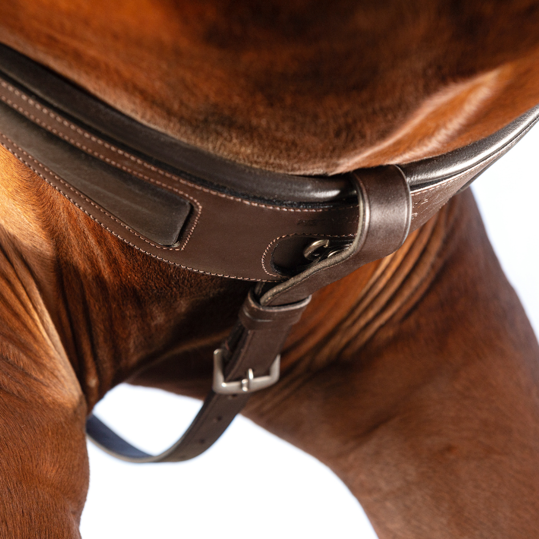 Attache Martingale De Course Pour Cheval - Taille Cob - Noir - Occasion