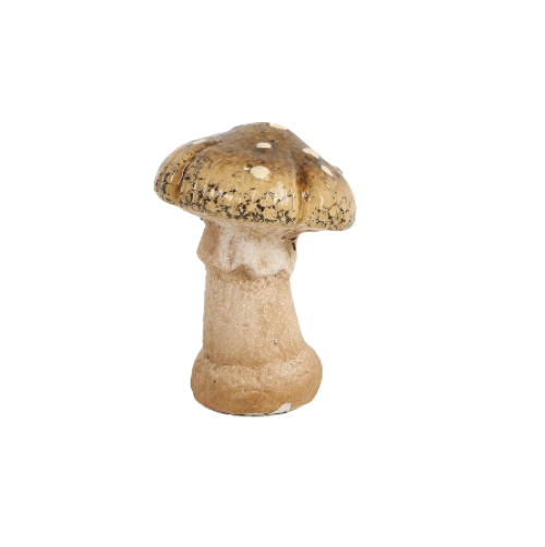 Svamp i keramik mellan 9 cm  - 5