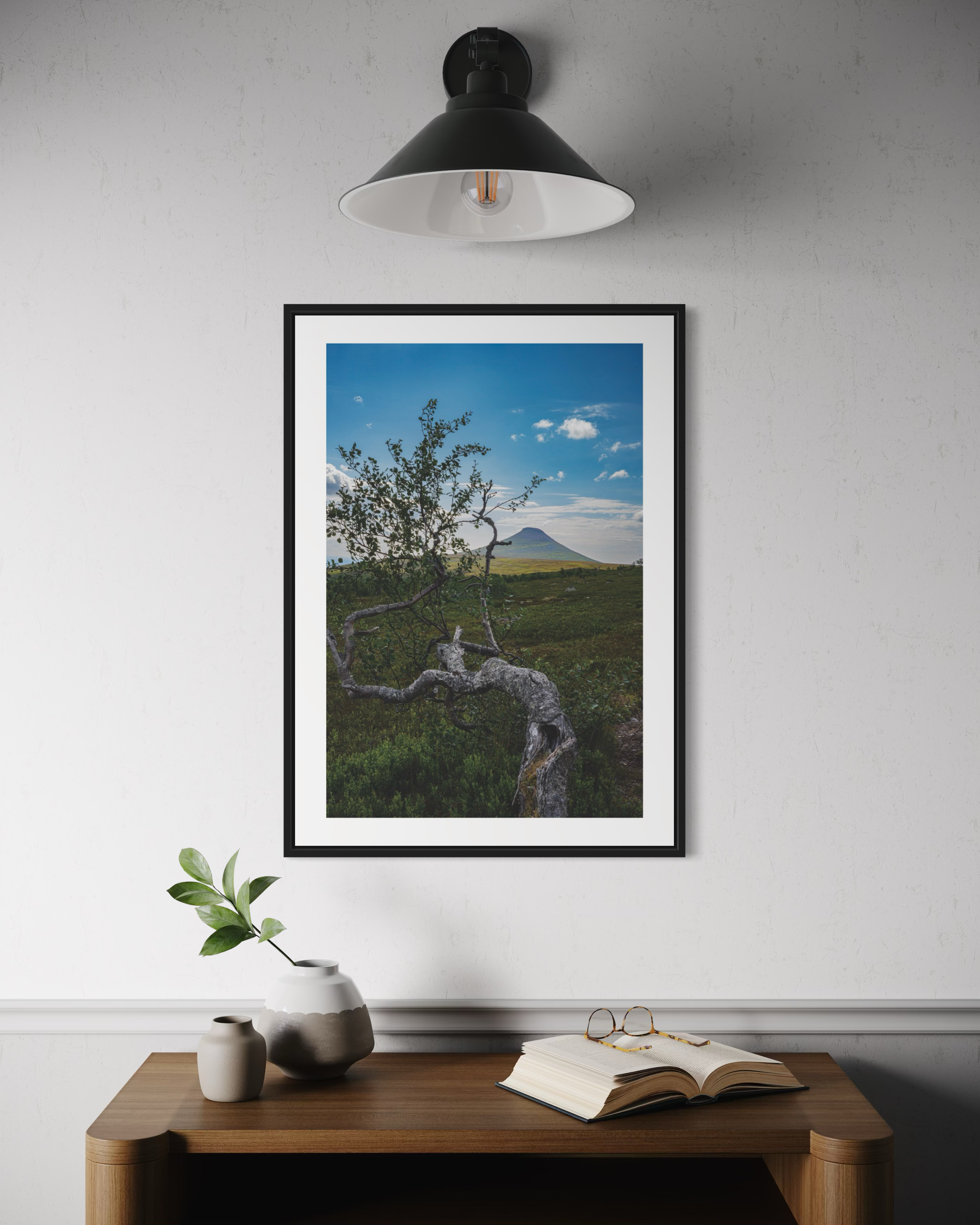 Fjällbjörk - Poster