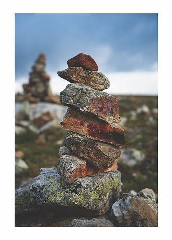 Fjällsten No 02 - Poster