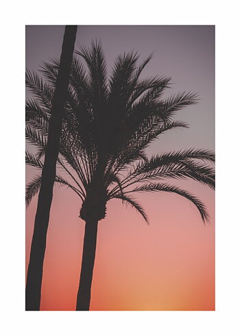 Pink Sunset - Poster
