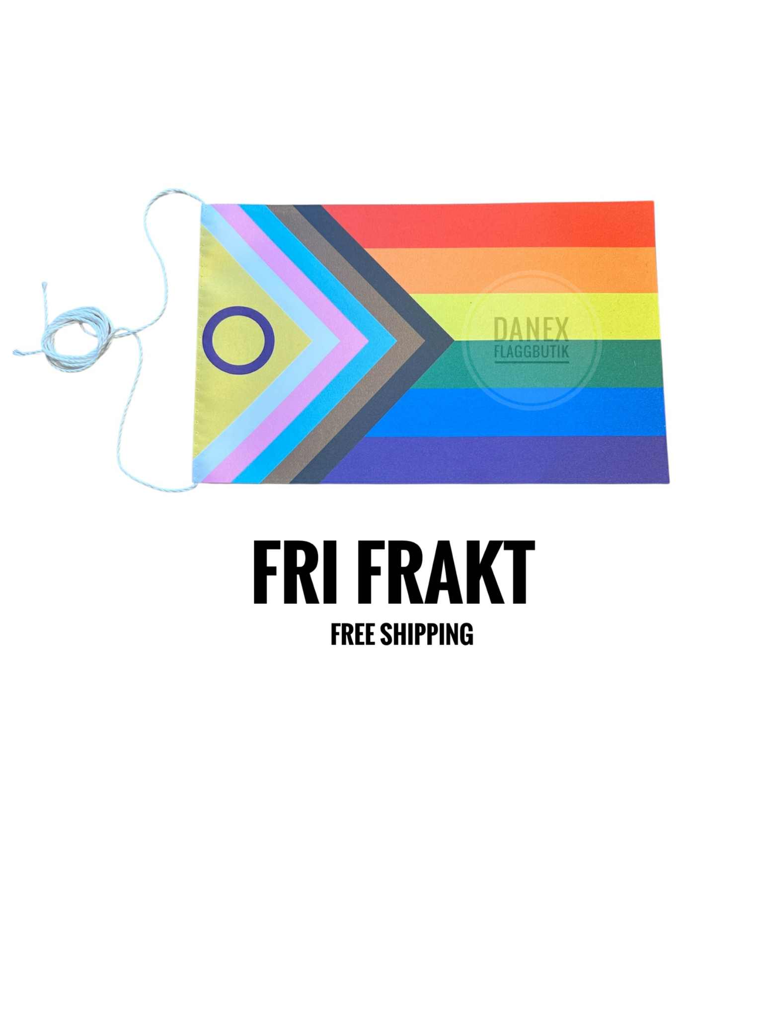 Bordsflagga Pride Progress intersex  16x24 cm 