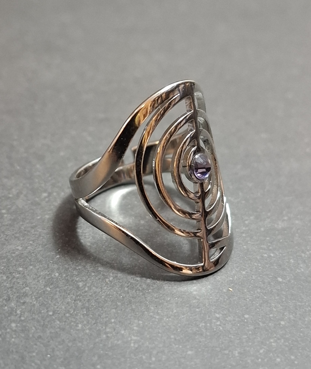  ChoKuRei  Ring  i Rostfritt Stål  - 2