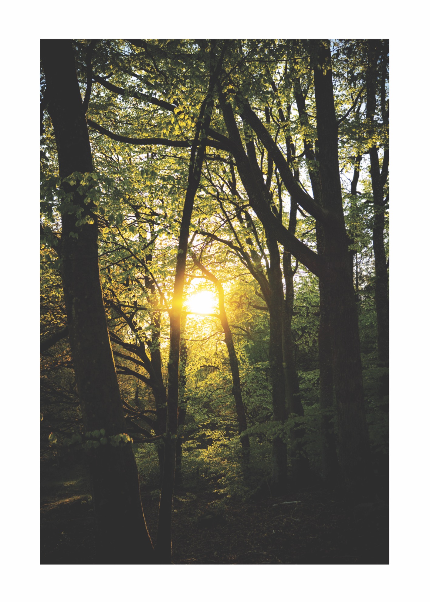 Ray Of Light - Poster - 2
