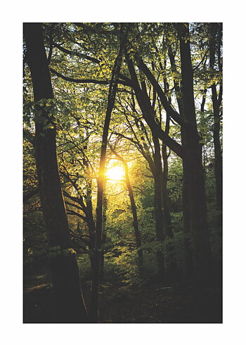 Ray Of Light - Poster