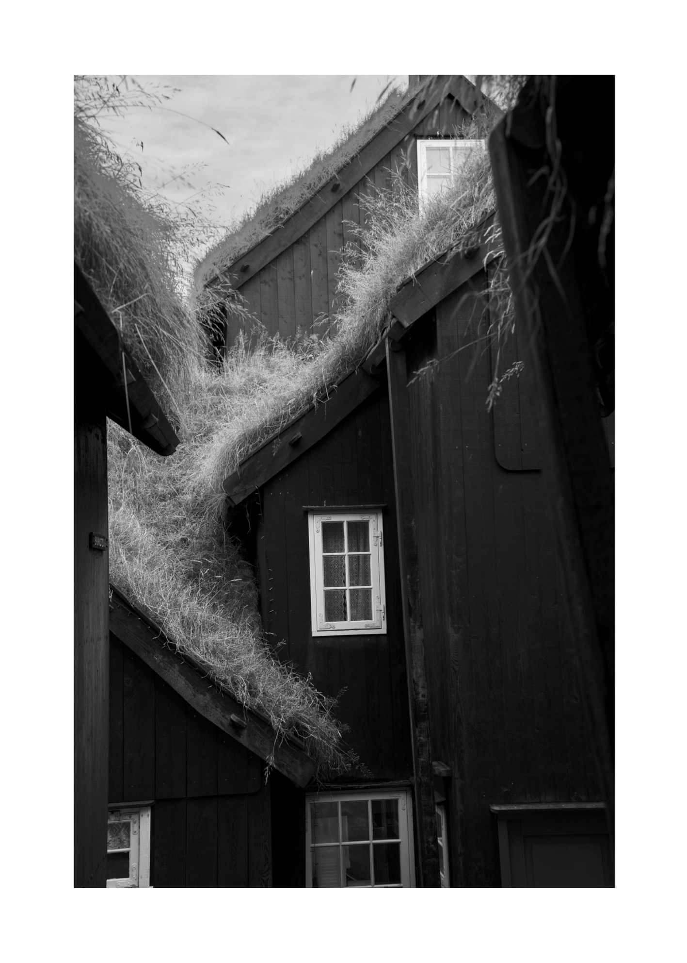 Faroe House - Poster - 2