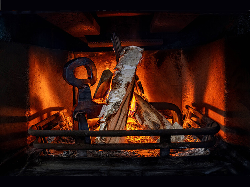 Chien d'incendie SBV 115 - 2