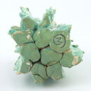 Anita Nylund (1990s) Unique Green Cactus from Own Studio 11 cm