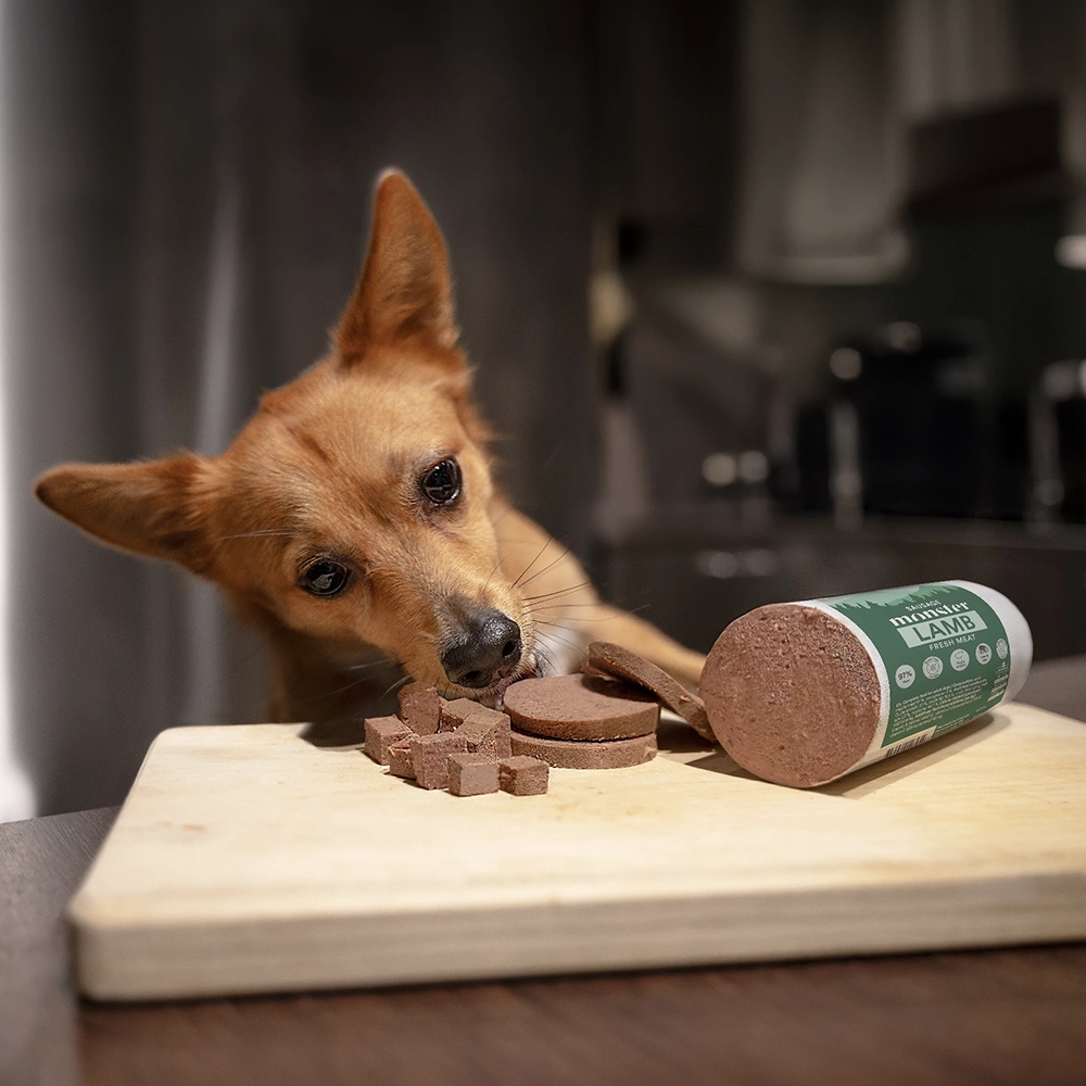 Monster dog sausage hundkorv - 3
