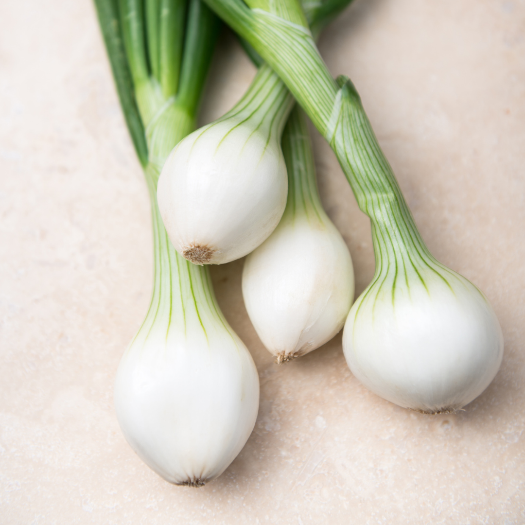 Silverlök - Paris Silver Skin