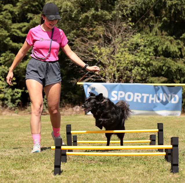 Puxxle Block 2.0 -  Sporthund - 5