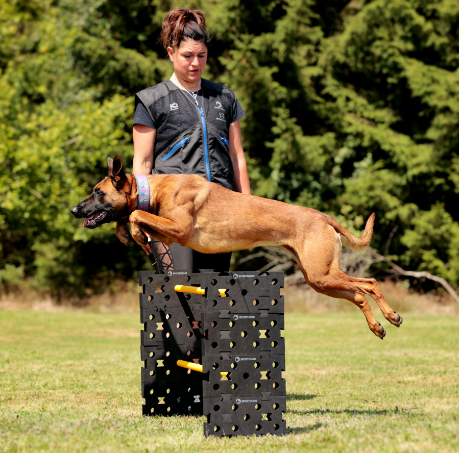 Puxxle Stick - Sporthund - 2