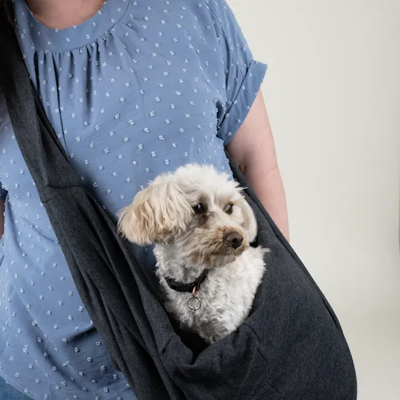 Selected by ZOO Carrying bag Alfons, 60x22x20cm, Gray - 2
