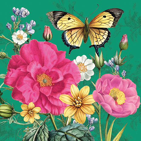 Fuchsia Garden, Greeting Card