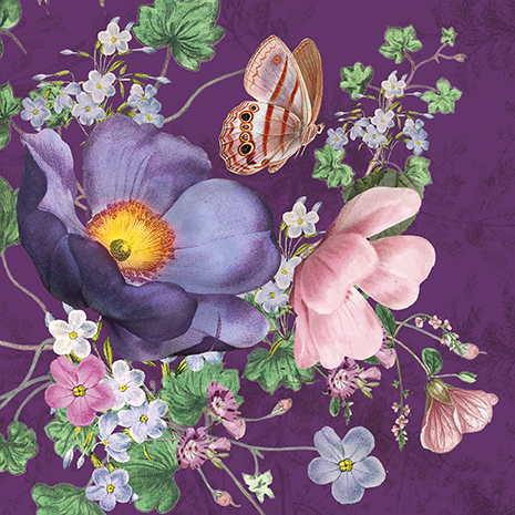 Violet Meadow, Greeting Card