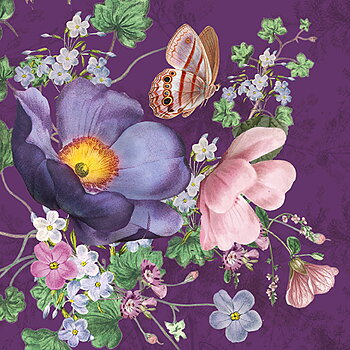 Violet Meadow, Greeting Card