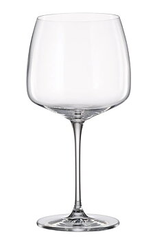 Anas Gin Tonic 660 ml bohemia