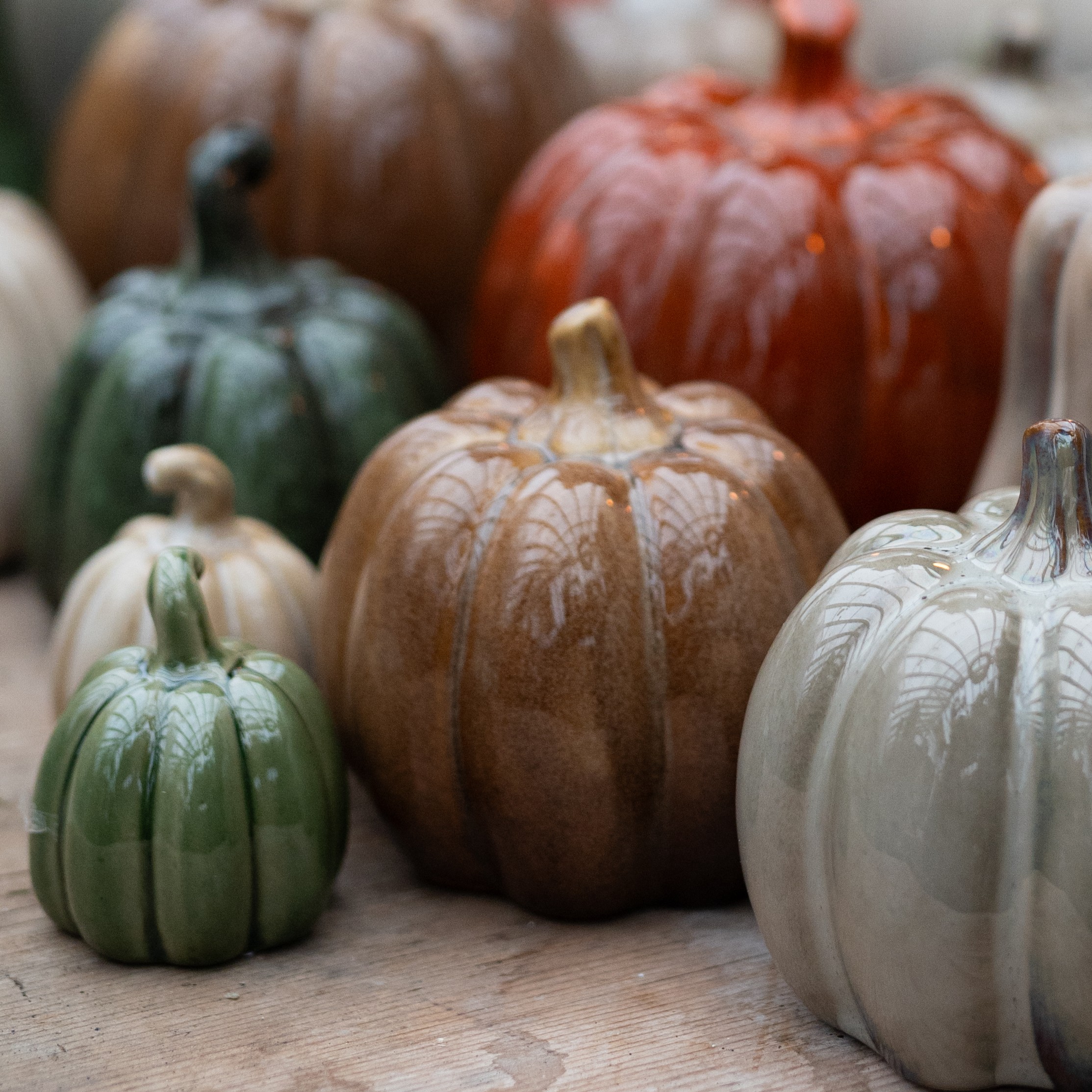 Pumpa Brun - Liten