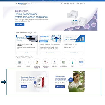 Web ads - Homepage - Customer Segment