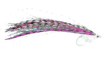 Baitfish - Tobis Rosa