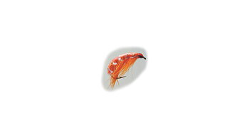 Streamer - Orange Orange