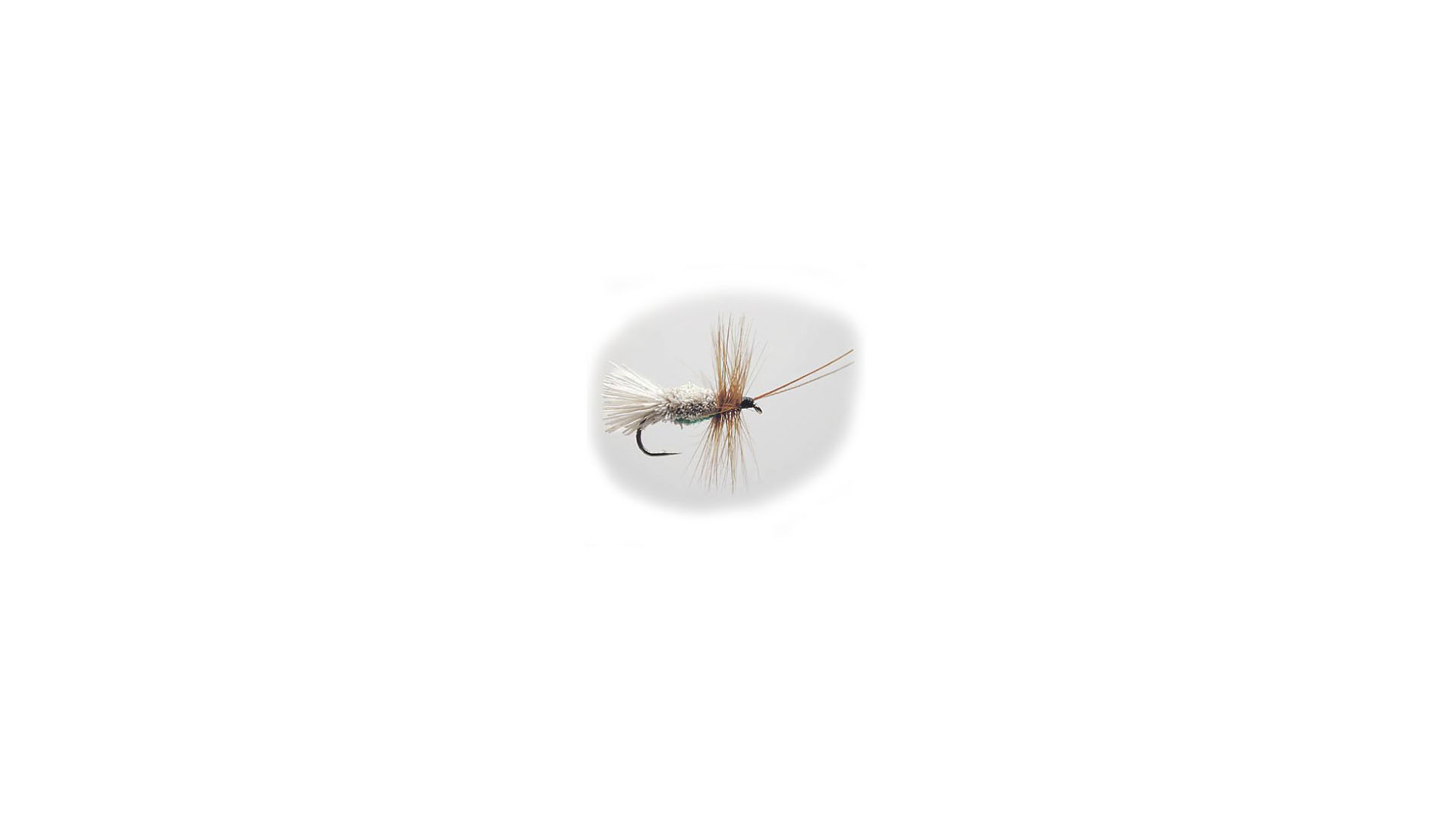 Sedges G & H 