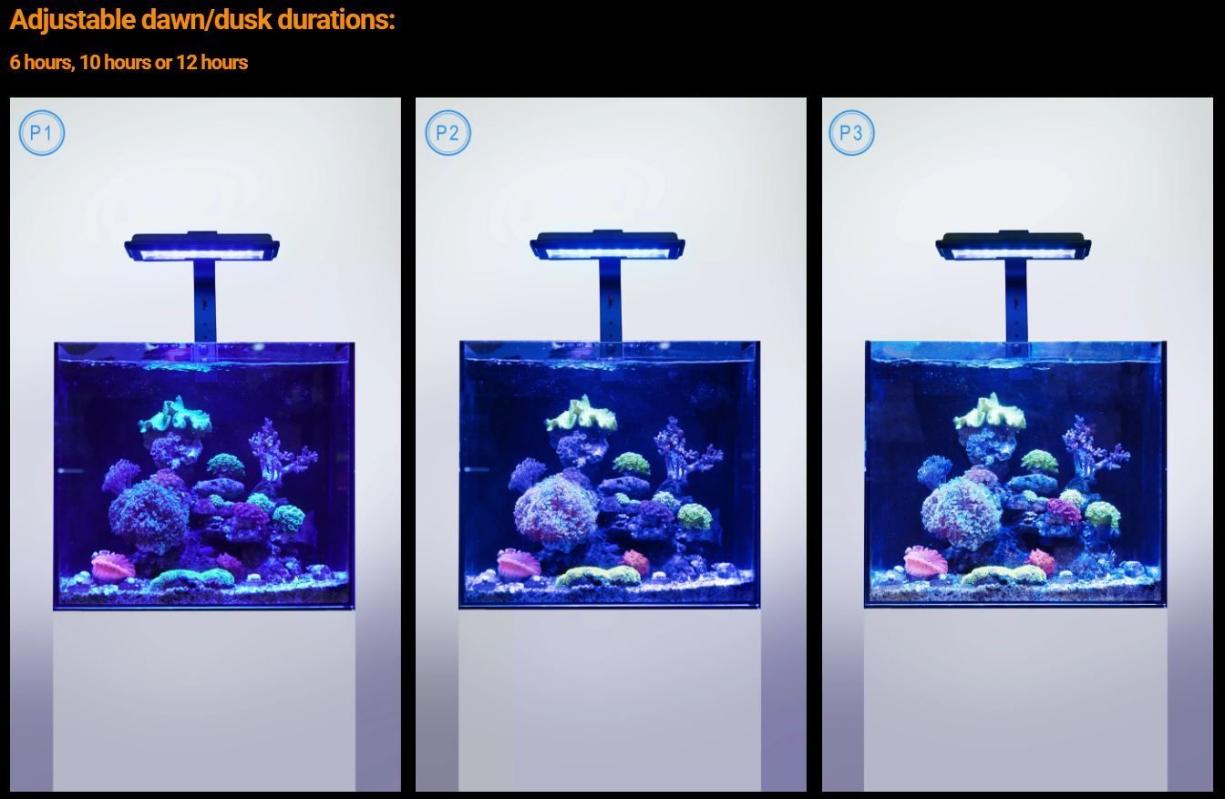 Maxspect Jump MJ-L230 LED - 8