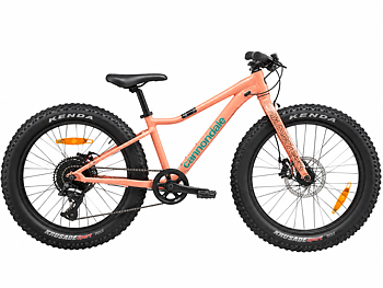 Cannondale Trail Plus 20", Begagnad