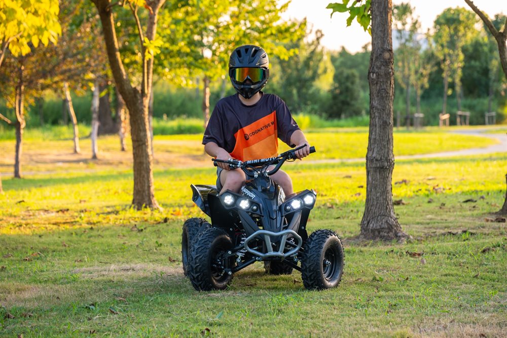 Azeno Warrior 1000W - 8