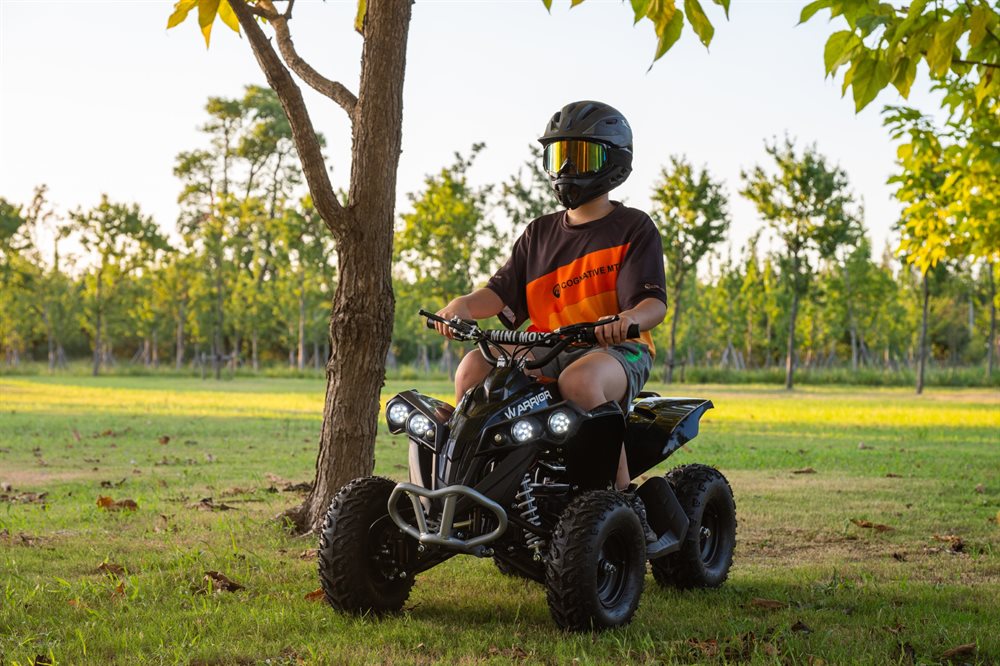 Azeno Warrior 1000W - 7
