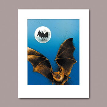 Bat signal, litografi