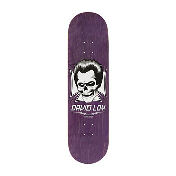 Birdhouse skateboard deck 8.38 Loy Skull