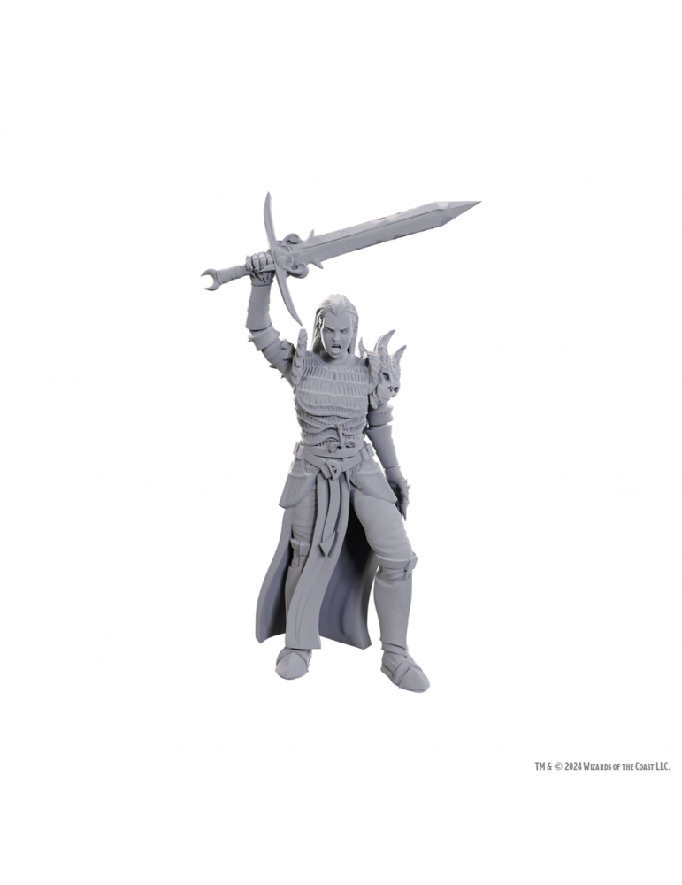 D&D Nolzurs Marvelous Minis Blackguard
