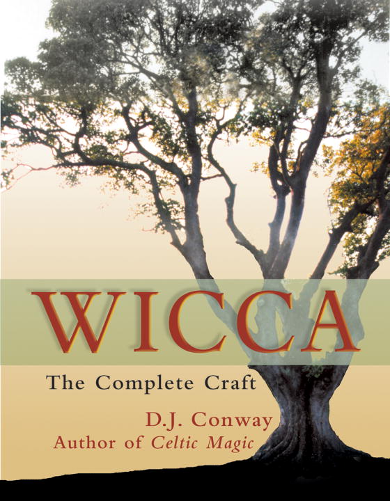 Wicca: The Complete Craft Paperback  by D.J. Conway 