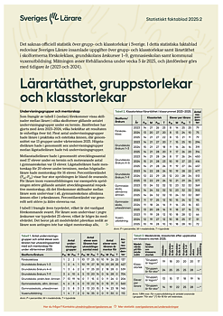 Lärartäthet, gruppstorlekar och klasstorlekar – pdf