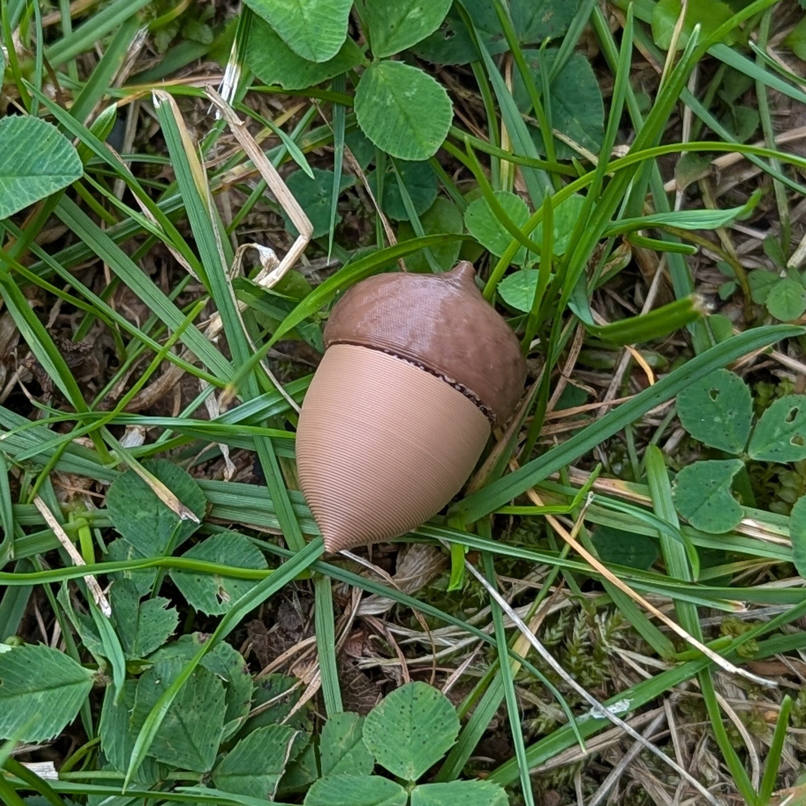 Nosverket NW Behållare Ekollon - 2