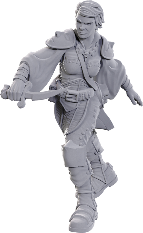 D&D Nolzurs Marvelous Minis: Swashbuckler