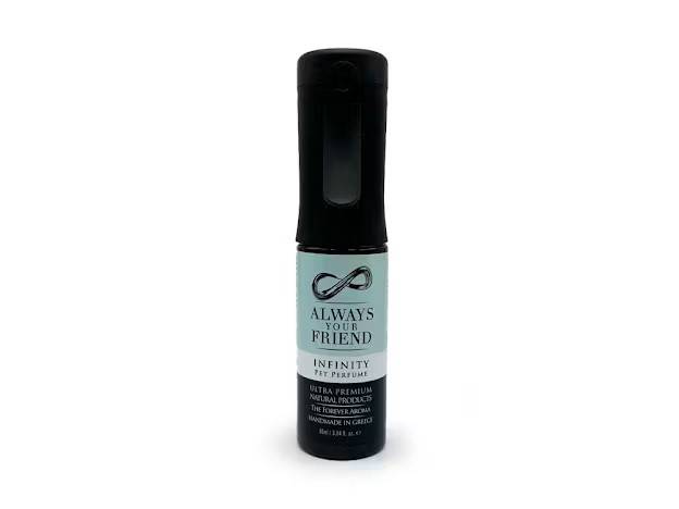 Always Your Friend Infinity The Forever Perfume Spray 90 ml