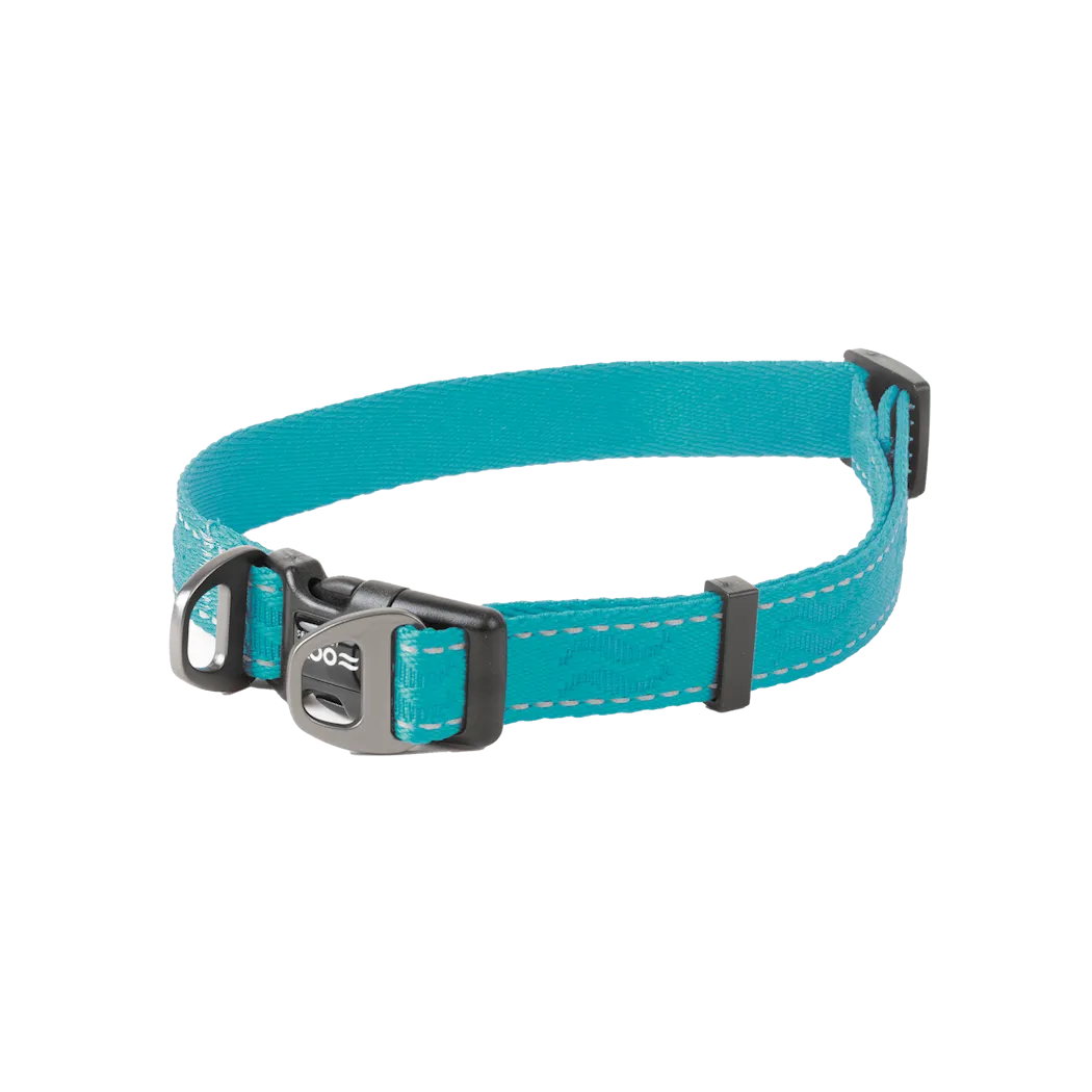 Selected by ZOO Dog collar Rufus adjustable, Turquoise - Various sizes - 2