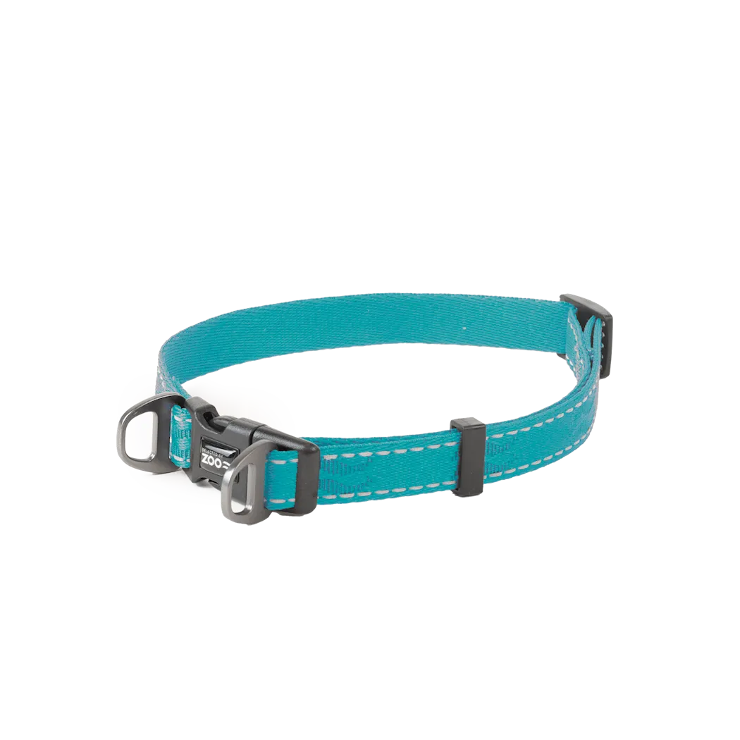 Selected by ZOO Dog collar Rufus adjustable, Turquoise - Various sizes - 3