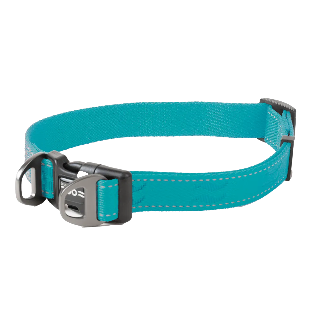 Selected by ZOO Dog collar Rufus adjustable, Turquoise - Various sizes